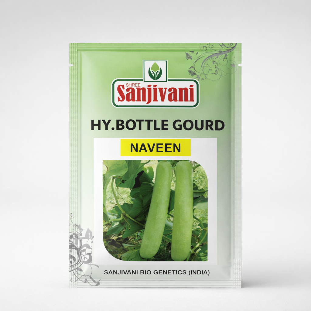 Naveen Hybrid Bottle Gourd Seeds (50 gm Pack)